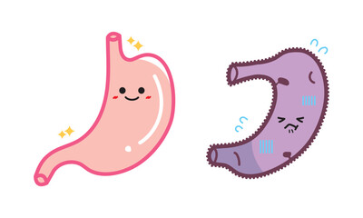 人の臓器キャラクター　健康な肺と不健康な胃　セット
