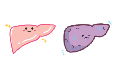 人の臓器キャラクター　健康な肝臓と不健康な肝臓　セット