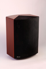Obraz premium Unique Reflective Loudspeaker 