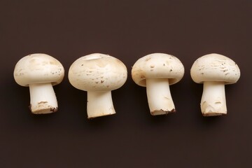 Mysterious arrangement of five assorted mushrooms on a dark background, Cultivated button 'Agaricus Bisporus'
