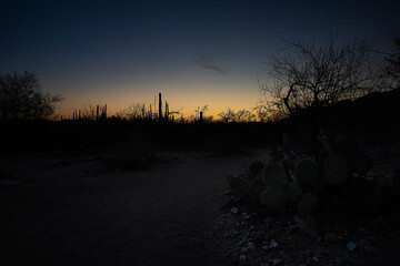 Darkened Desert Floor
