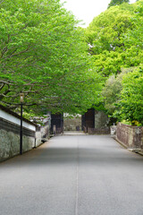 飫肥城跡 大手門通りの石垣と緑豊かな街並み