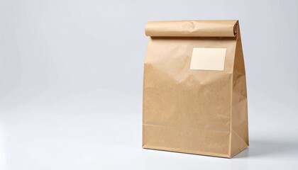 Brown kraft paper bag with a blank label for mockup, sealed and standing on a white background with copy space.