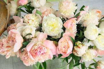 Closeup view of beautiful peonies, top view