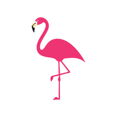 Pink flamingo standing on one leg bird animal