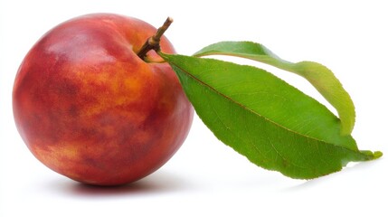 A ripe peach with vibrant red skin and yellow blushes, attached to a green leaf and branch,