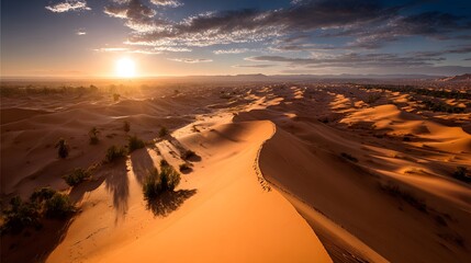 Fototapeta premium A breathtaking desert landscape unfolds at sunrise, showcasing towering dunes and scattered vegetation in warm orange tones.