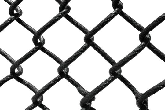 Close-up of a black chain-link fence