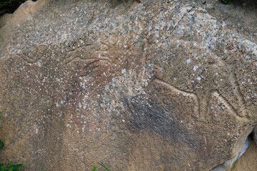 Gobustan Rock Art inside the National Park Museum, Azerbaijan