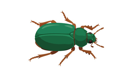 Fototapeta premium Emerald Shield: A Vivid Depiction of a Jewel-Toned Beetle Isolated on White Background, Presenting an Artful Natural History Illustration