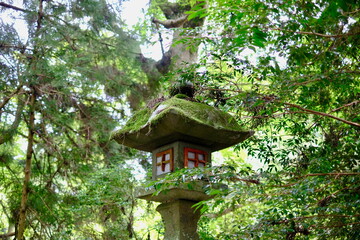 苔むした石灯籠と緑の森（日本の伝統的な風景）