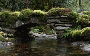 A mossy stone arch bridge spanning a shallow stream