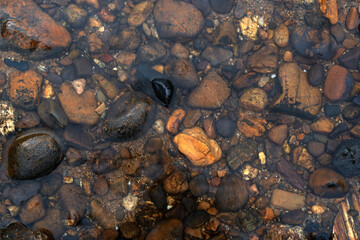 Obraz na płótnie Canvas pebble or gravel and round stone beach in stream shallow water or river and natural clean pond with sea to clear transparent on top view or foot spa nature massage and for pattern texture background