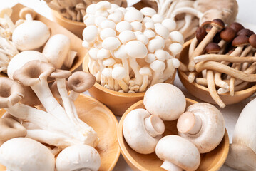 Champignon, Yanagi, Shimeji, oyster and King oyster mushroom. Asian edible mushroom, Food ingredients