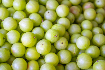 Generated imageFresh Indian gooseberries (Phyllanthus emblica) with vibrant green color, rich in vitamin C, perfect for health, culinary, herbal, and natural remedy concepts.