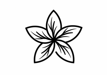 Plumeria Flower Line Art Elegant Black and White Floral Illustration on transparent background
