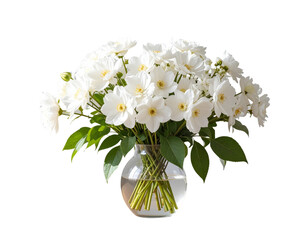 Angled Side Perspective of White Flower Arrangement in Vase on Wooden Surface, isolated on transparent background