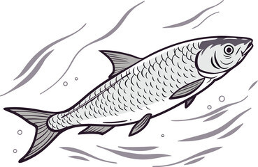 Milkfish Illustration Artwork. Bangus Fish Drawing. Realistic Milkfish Illustration. Tropical Fish Milkfish Design. Bangus Seafood Artwork. Freshwater Milkfish Illustration