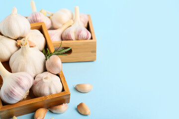 Wooden trays with fresh garlics on blue background