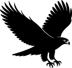 Hawk bird Vector
