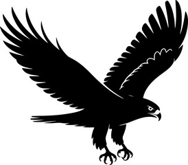 Hawk bird Vector