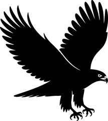 Hawk bird Vector