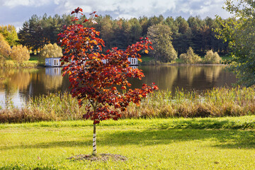 Fototapete bei efototapeten.de bestellen   