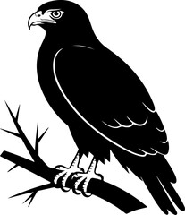 American Hawk Vector Art