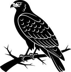 American Hawk Vector Art