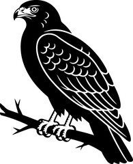 American Hawk Vector Art