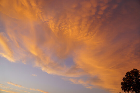 Vibrant orange mammatus clouds dominate a beautiful sunset sky, creating a breathtaking natural spectacle - Powered by Adobe