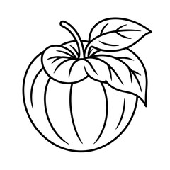 A tomatillo fruit illustration vector style coloring page