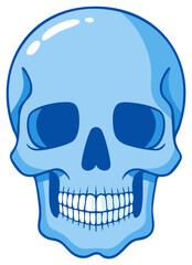 Fototapeta premium Illustrated Human Skull with Teeth in Cool Blue Tones Medical Anatomical Art