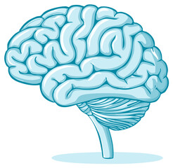 Stylized Blue Human Brain Anatomy Illustration Representing Intelligence and Thinking