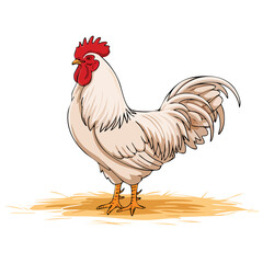 White chicken flat cartoon icon vector illustration, perfect for farming, countryside, poultry, food, and agriculture themed rural design visuals.