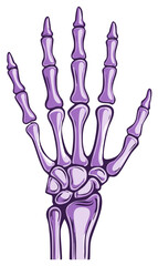 Fototapeta premium Stylized Purple Skeleton Hand Illustration with Fingers Spread Open