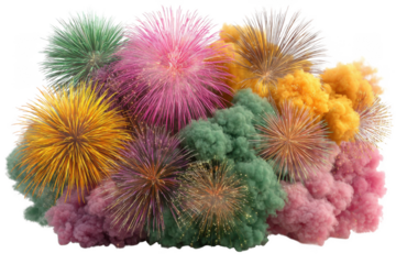Explosion of colorful fireworks and smoke isolated on transparent background