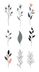 Delicate botanical elements for elegant floral designs and artistic arrangements