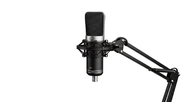 Professional Studio Condenser Microphone on Boom Arm Stand