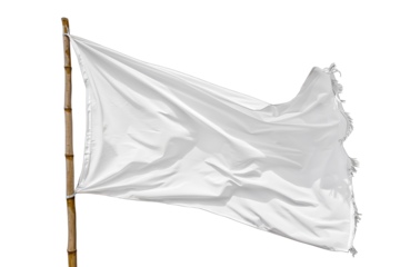 White flag waving on bamboo pole surrender peace