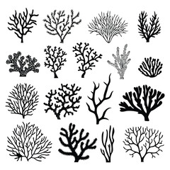 Silhouettes of Coral Reef and Sea Plants – Vector Collection