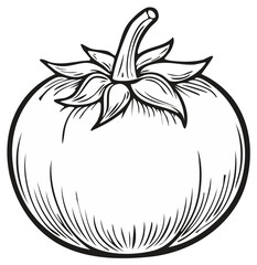 Black and white illustration of a tomato with leaves, stem, and veins.