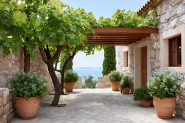 Naklejka premium Mediterranean patio overlooking the sea with grapevine pergola and potted plants