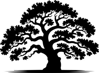 Oak Tree Silhouette Vector Illustration