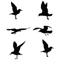 Silhouettes of Seagulls in Various Poses – Vector Set