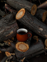 A cup of coffee on a pile of firewood in the forest. Cozy autumn mood concept