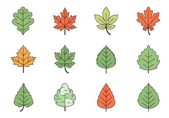 Obraz premium Colorful vector icon set of different tree leaves, including maple and oak, representing the autumn season and botanical diversity