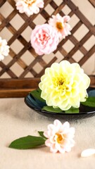 Fototapeta premium Floral Display on Wooden Lattice