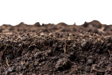 Dark soil texture closeup view rich earth background