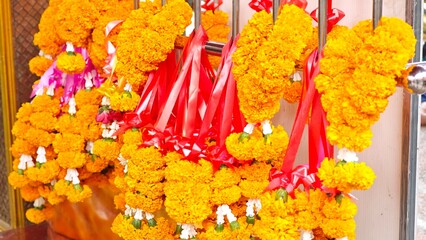 Marigold flower for merit making. Buddhist religious ceremonies.
